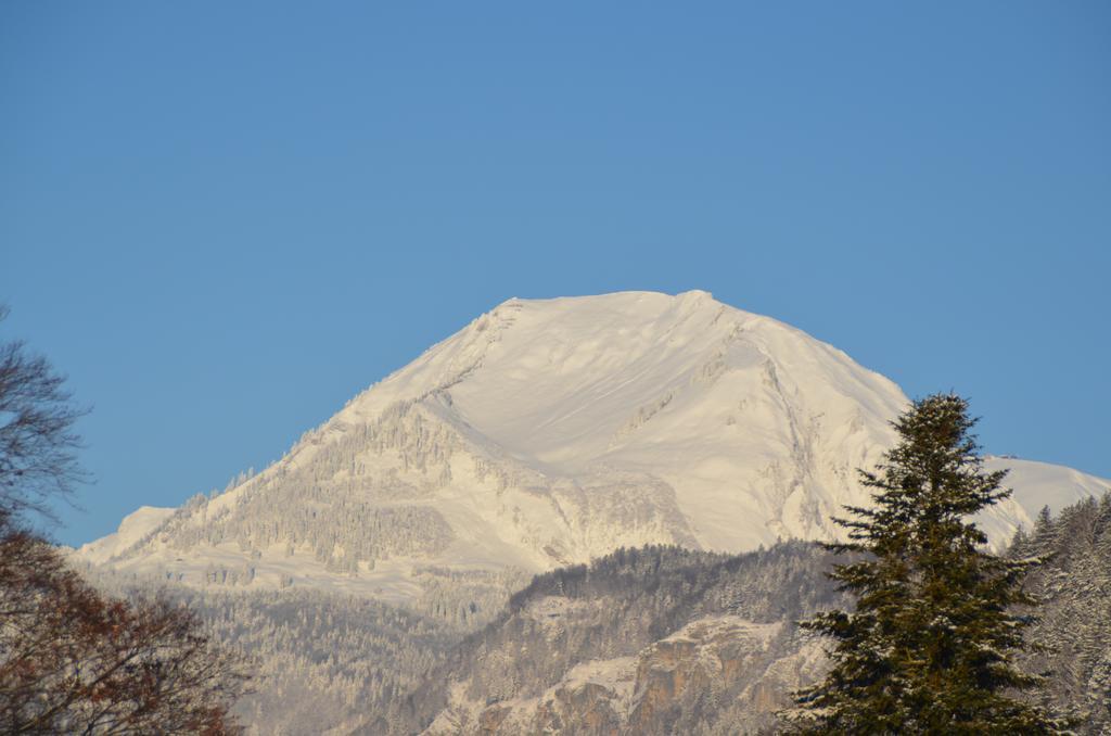 Mountain-Panorama Lejlighed Meiringen Eksteriør billede