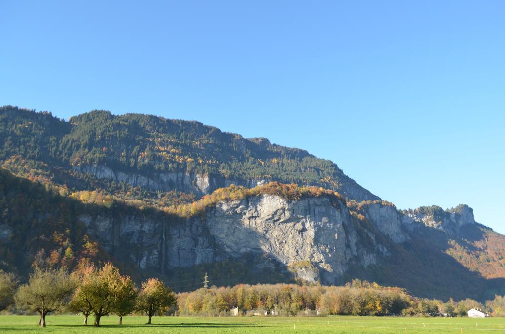 Mountain-Panorama Lejlighed Meiringen Eksteriør billede